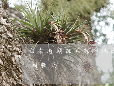 白条逾期能不能分批还款(白条逾期可以分期付款吗)