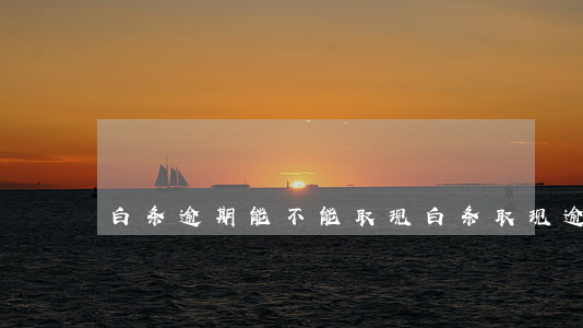 白条逾期能不能取现(白条取现逾期会怎么样)