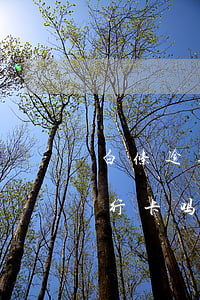 白条逾期能办理银行卡吗（白条逾期可以办银行卡吗）