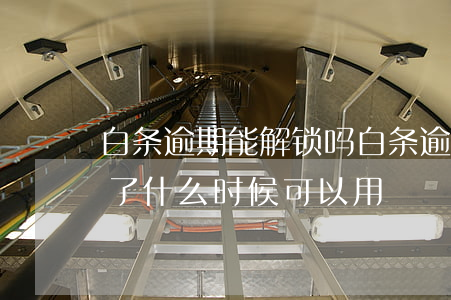 白条逾期能解锁吗(白条逾期后,还完逾期,锁定了什么时候可以用?)