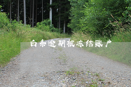 白条逾期被冻结账户