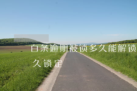 白条逾期被锁多久能解锁(白条逾期锁定会永久锁定)