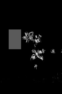 白条逾期被锁定怎么解-白条已锁定怎么解开