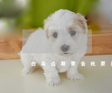 白条逾期要告我(要是白条逾期了怎么办)