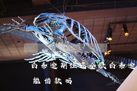 白条逾期让还全款(白条逾期,全部还完以后还能借款吗)
