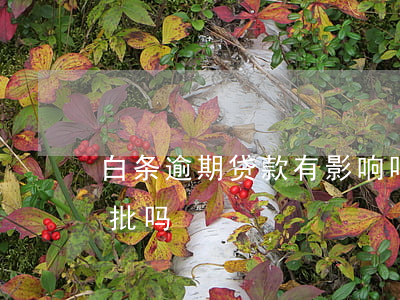 白条逾期贷款有影响吗（白条逾期影响房贷审批吗）