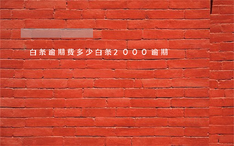 白条逾期费多少(白条2000逾期)