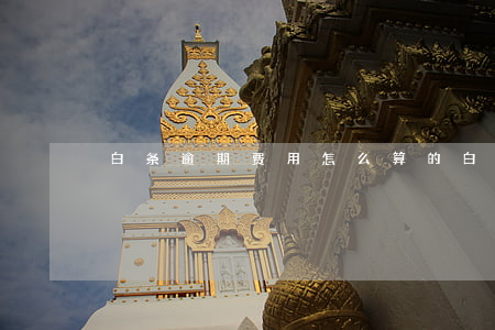 白条逾期费用怎么算的(白条逾期利息多少)