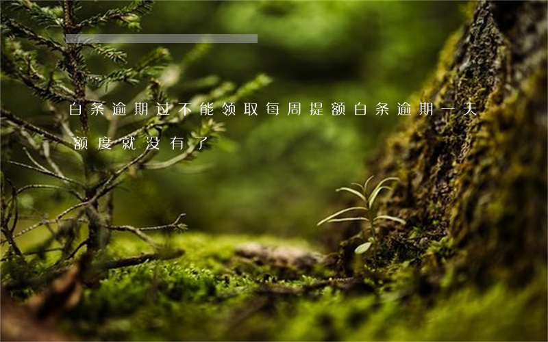 白条逾期过不能领取每周提额(白条逾期一天额度就没有了)