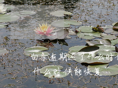 白条逾期还了什么时候能恢复(白条逾期还了什么时候能恢复)