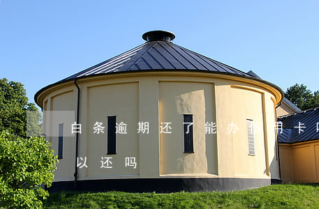 白条逾期还了能办信用卡吗(白条用信用卡可以还吗)