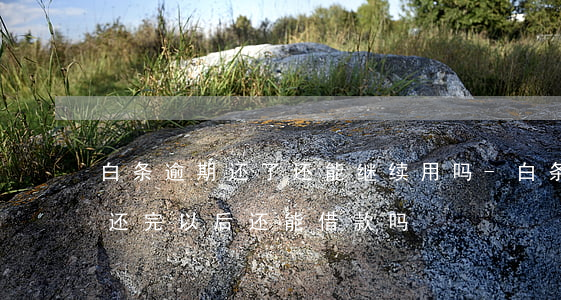 白条逾期还了还能继续用吗-白条逾期,全部还完以后还能借款吗