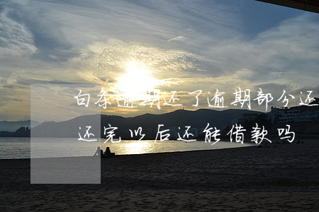 白条逾期还了逾期部分还全款(白条逾期,全部还完以后还能借款吗)