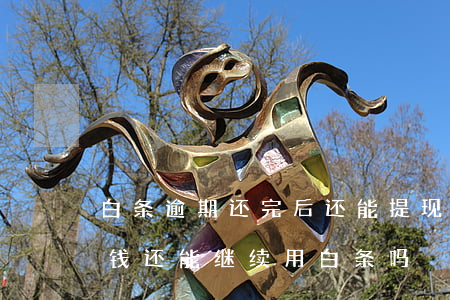 白条逾期还完后还能提现么(白条逾期了还完钱还能继续用白条吗)