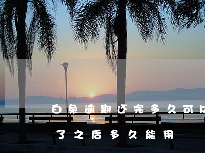 白条逾期还完多久可以重新开(白条逾期还完了之后多久能用)