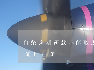 白条逾期还款不能取现(白条逾期还款后几天能用白条)