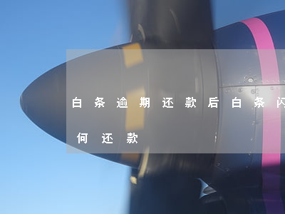 白条逾期还款后白条闪付不能用(白条闪付如何还款)