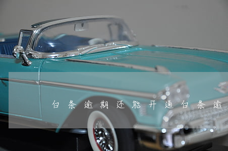 白条逾期还能开通(白条逾期后果)