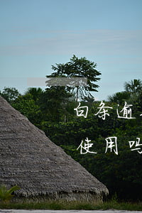 白条逾期还能申请信用卡么-白条逾期还能使用吗
