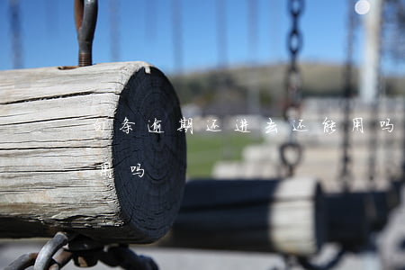 白条逾期还进去还能用吗(白条逾期还完还能用吗)