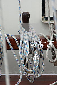白条逾期金条逾期(金条白条逾期多久会被起诉)