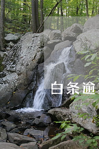 白条逾期银行卡钱不够也会扣吗-