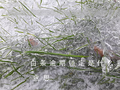 白条逾期锁定是什么意思(白条已锁定是什么意思)