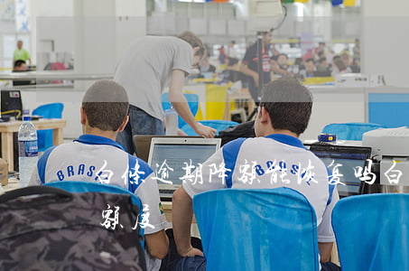 白条逾期降额能恢复吗(白条逾期2天还款降额度)