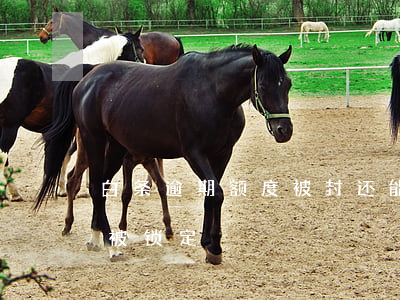 白条逾期额度被封还能开吗(白条逾期多久会被锁定)