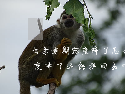 白条逾期额度降了怎么快速恢复 白条逾期额度降了还能提回去吗