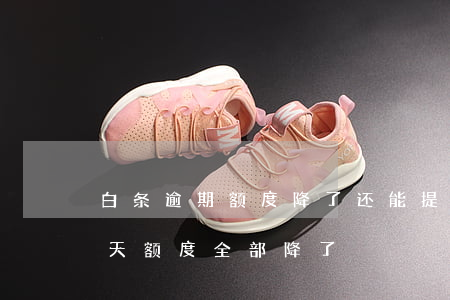 白条逾期额度降了还能提回去吗（白条逾期两天额度全部降了）