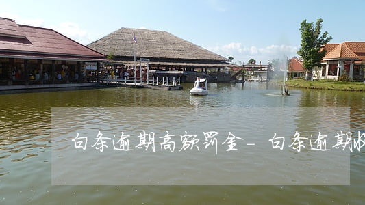 白条逾期高额罚金-白条逾期收费