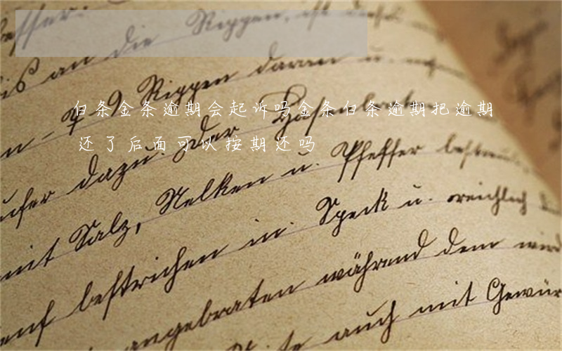 白条金条逾期会起诉吗(金条白条逾期把逾期还了后面可以按期还吗)