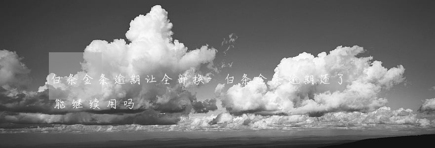 白条金条逾期让全部换-白条金条逾期还了能继续用吗