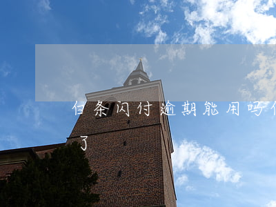 白条闪付逾期能用吗(白条能用白条闪付用不了)