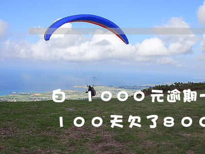 白條1000元逾期一天多少利息(白條逾期100天欠了8000)