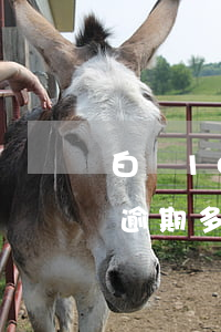 白條1000逾期多久上征信(白條1000逾期多久上征信)
