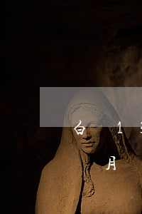 白條13000逾期2月(白條600逾期兩個月)
