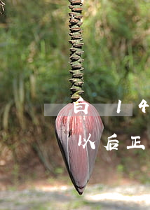 白條14塊錢逾期20天-白條逾期15天以后正常還款