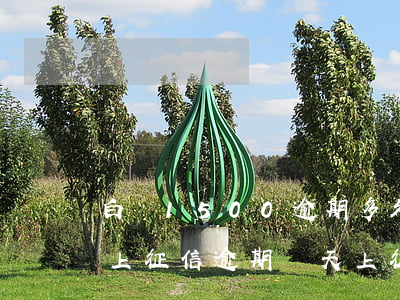 白條1500逾期多久上征信(白條逾期多久上征信?逾期幾天上征信)