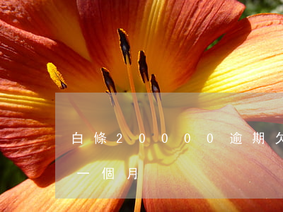 白條20000逾期(欠白條2000多逾期一個月)