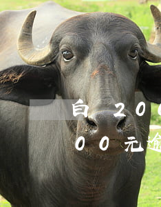 白條2000元逾期一天多少錢-白條2000元逾期一天多少錢利息
