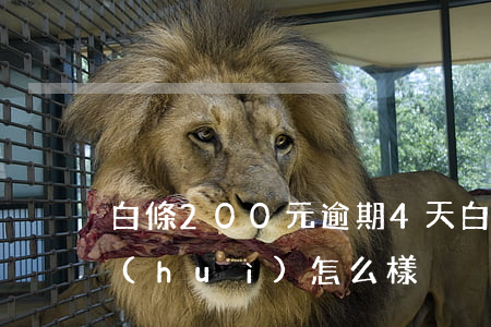 白條200元逾期4天(白條逾期兩百多天會(huì)怎么樣)