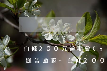 白條200元逾期會(huì)發(fā)通告函嘛-白條200元逾期會(huì)發(fā)通告函嘛