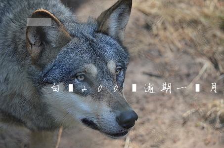 白條200塊逾期一個月-白條逾期兩千