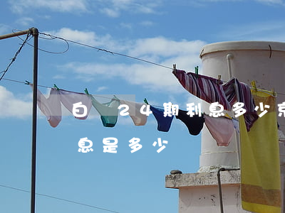 白條24期利息多少 京東白條24期分期利息是多少