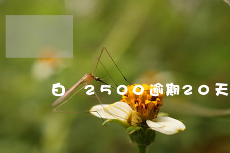 白條2500逾期20天(白條逾期兩千)