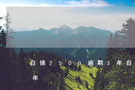 白條2500逾期3年(白條2500逾期3年)