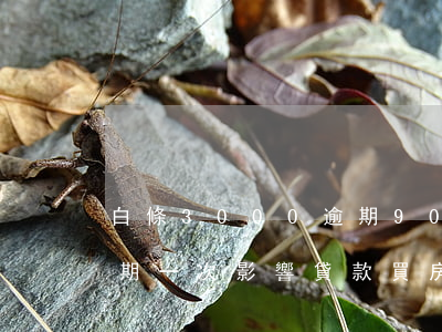 白條3000逾期900-白條3000逾期一次影響貸款買房嗎