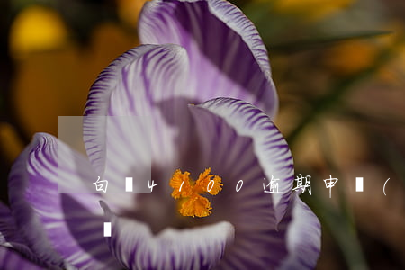 白條4100逾期申請(qǐng)仲裁委員